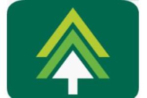 nTree Messaging EDI services